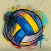 voley08