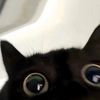 redxeyes