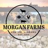 _mitchell_morgan