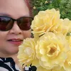yao_in_england