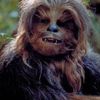 chewy.75