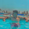hassanhamouda55