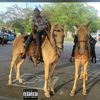 cowboydj_