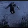 wolf._.hua