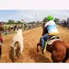 jorgitonaranjo5
