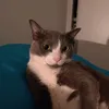 georgeaana