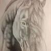 robertog68