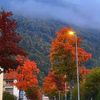 magaly_1_