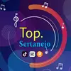 Top.sertanejo