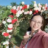 trinhlv_mp_linhhuong