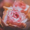 diyaa._07