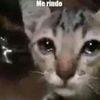 taquito151415