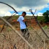 franklin_1619