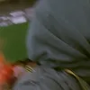 gaktauuumaless