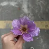kanenfjejwbfbdb