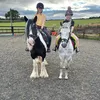 lexandbellaponies