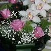 user44790011