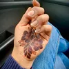 harshahenna