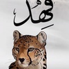 fahadd_515_