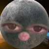 manuuzxp1