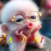 a_n_t_o_n_i_1_1