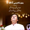 ptifamily381