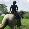 seba_629