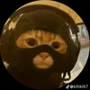 expertforyou1