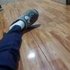 m_zv81
