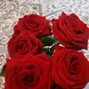 _user.770