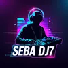 sebadj_7