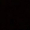 nyc.fightvid