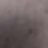 userii855