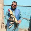 imranmarwat86