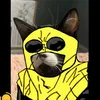 kauaa_alvs01