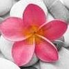 liliamendoza981