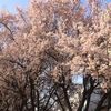 dlrpanjdi._123