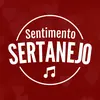 sentimento.sertanejo