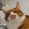 jojclyn