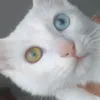 jessiaparicio2