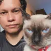 tresgatosfofos