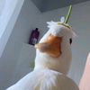 hmijjj01