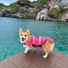 b.rownie_thecorgi