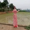 chiendinh234