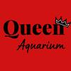 queen_aquarium