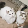 marytweety89