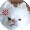 itsuabot