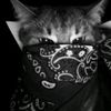 love1ssourrr