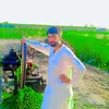 muhammadsijjad219