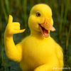 userblackred6
